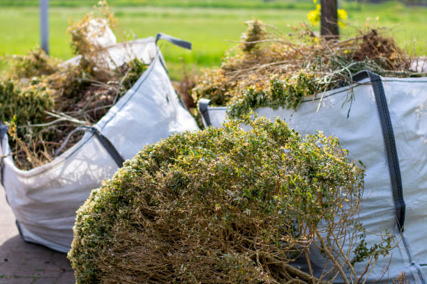 Full-Service Junk Removal in Brooksville, FL